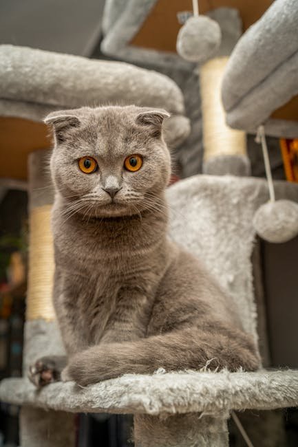 Provide Positive Reinforcement (image credits: pexels)