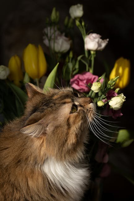 Allowing Space for Grieving (image credits: pexels)