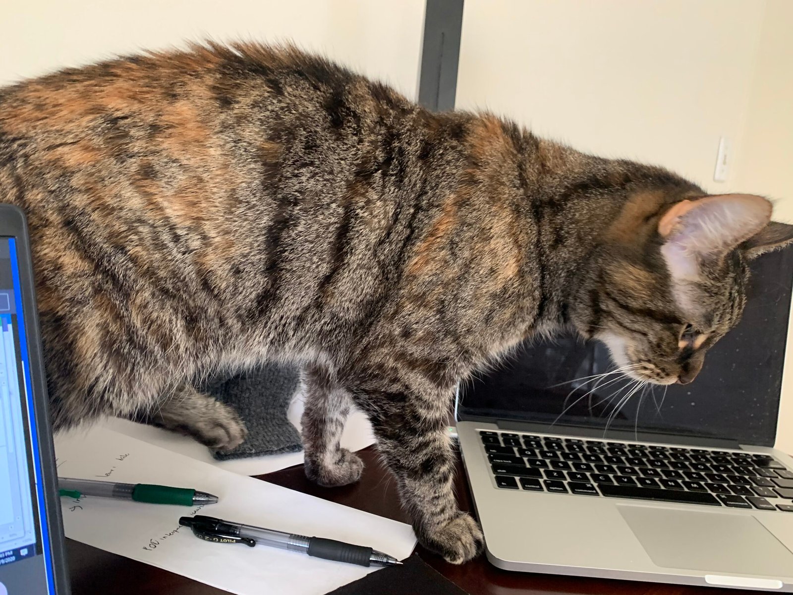 The Laptop Keyboard: A Warmth Seeker (image credits: wikimedia)