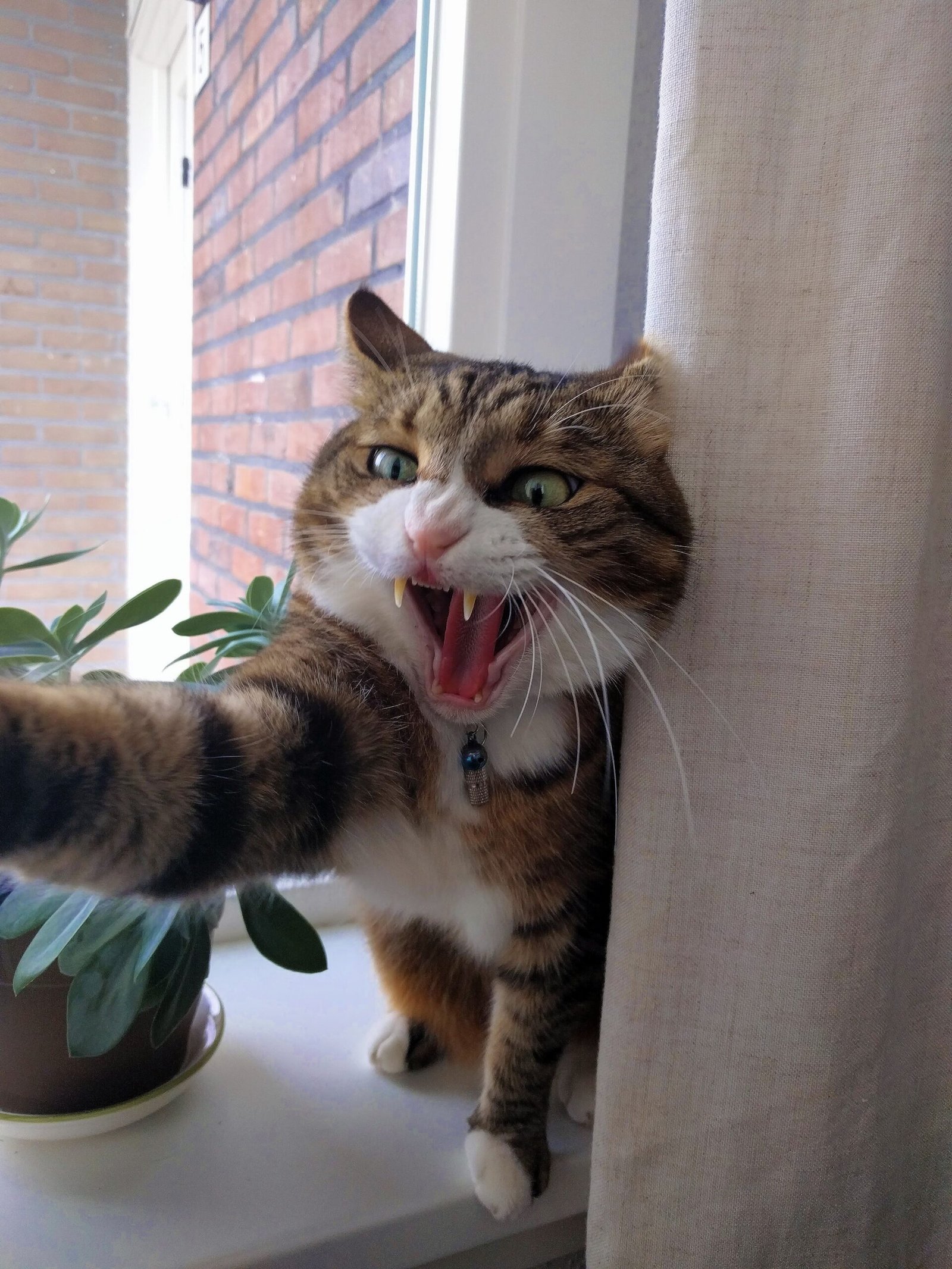 Hormonal Changes and Aggression (image credits: wikimedia)