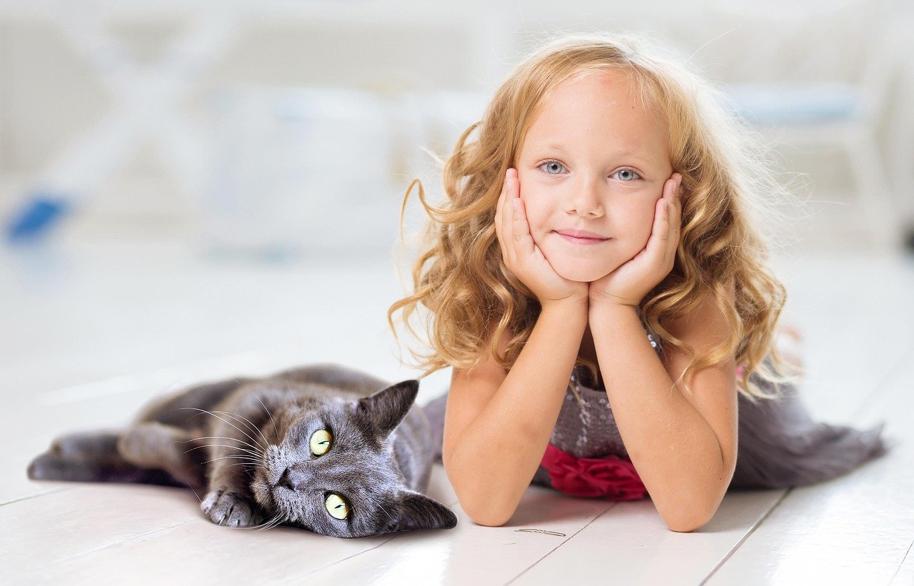 The Loyal Companion (image credits: pixabay)