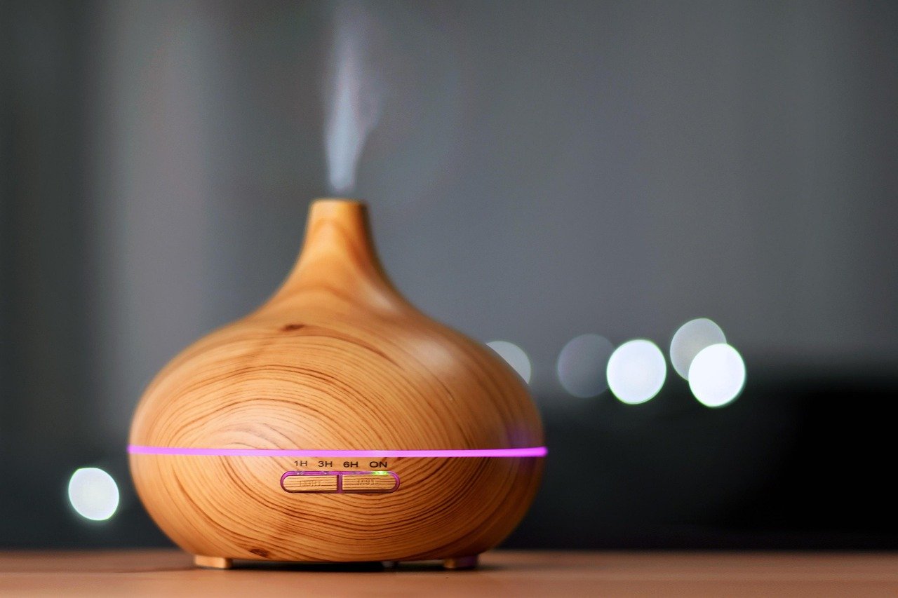 Using Pheromone Diffusers for Calmness (image credits: pixabay)