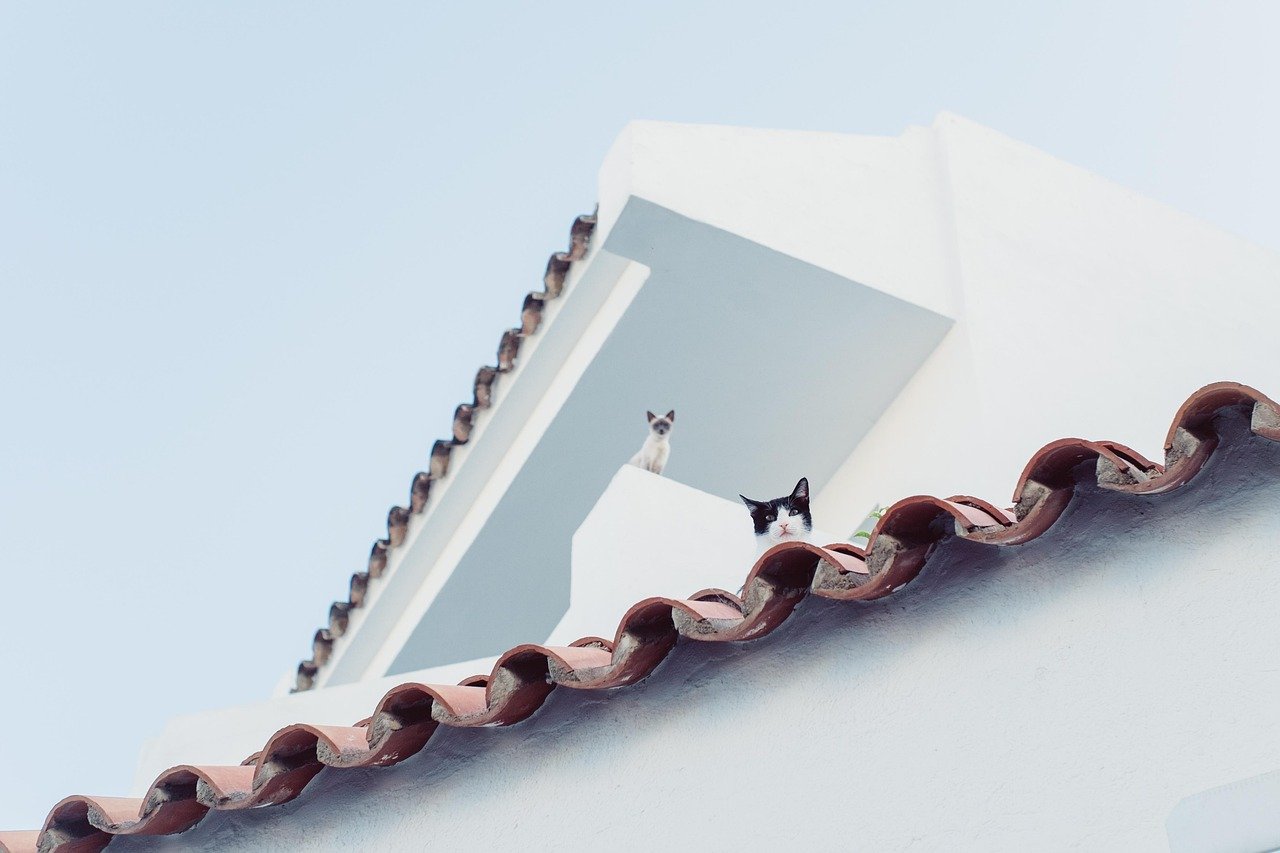 Incorporating Vertical and Horizontal Spaces (image credits: pixabay)
