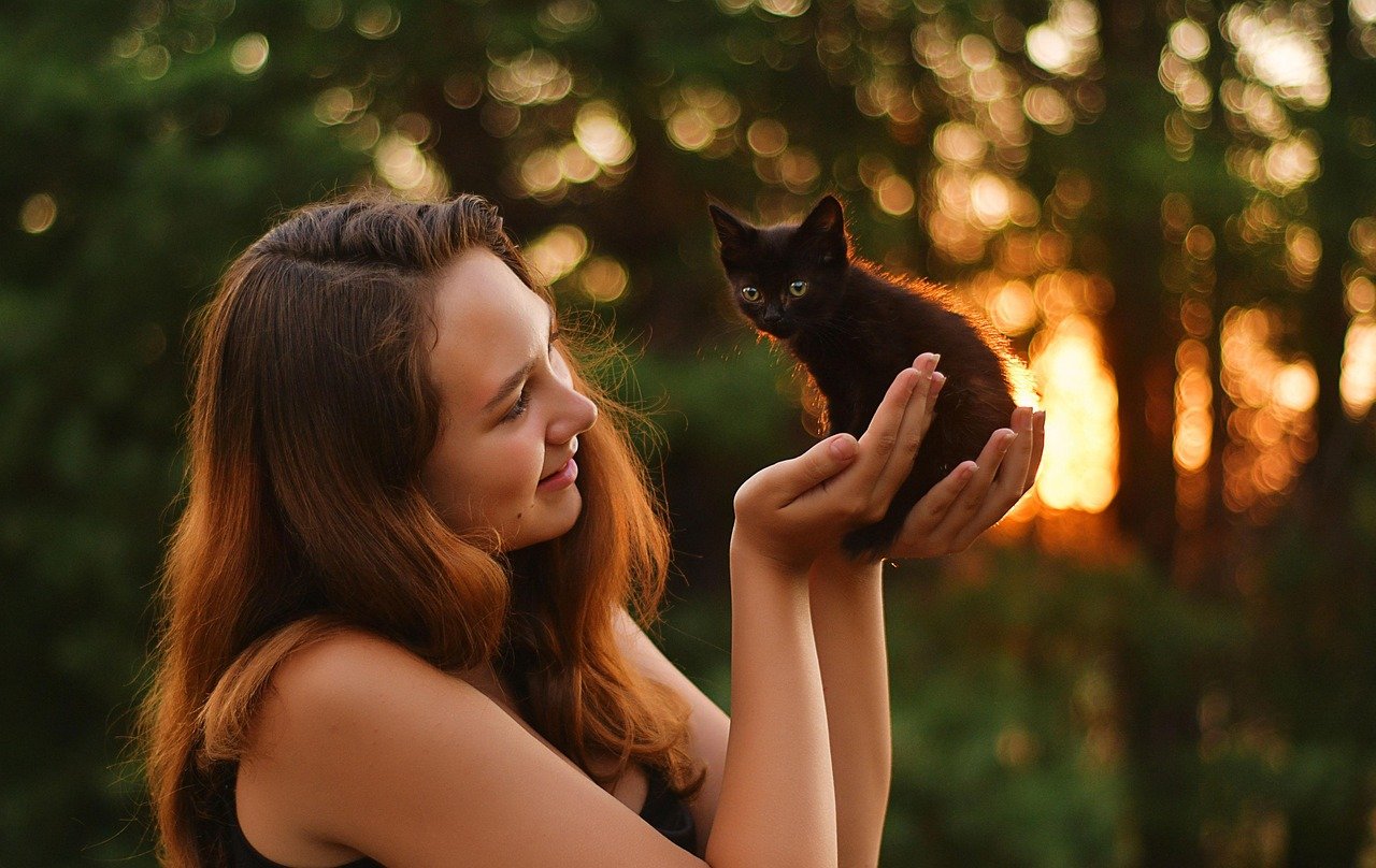 Gaining a Sense of Purpose (image credits: pixabay)