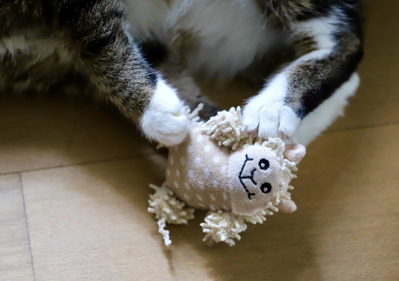 Battery-Operated Toys: Shockingly Risky (image credits: pixabay)