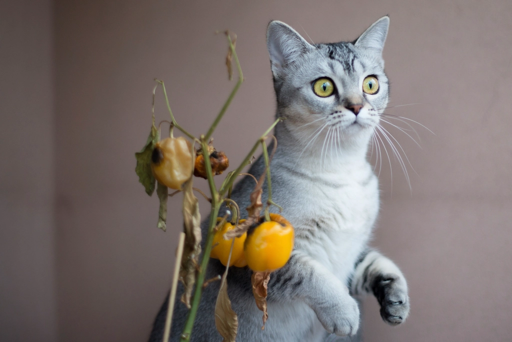 5. Playful Distractions (image credits: rawpixel)