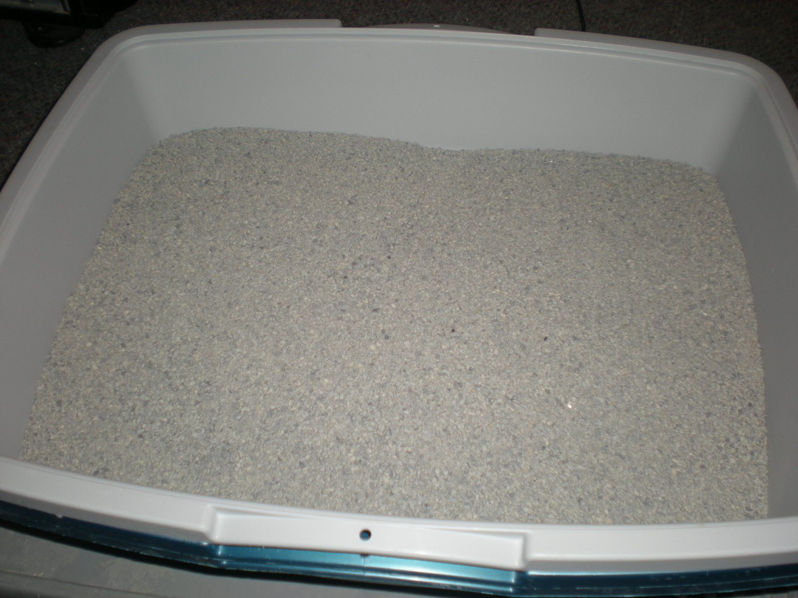 Negative Association with the Litter Box (image credits: wikimedia)