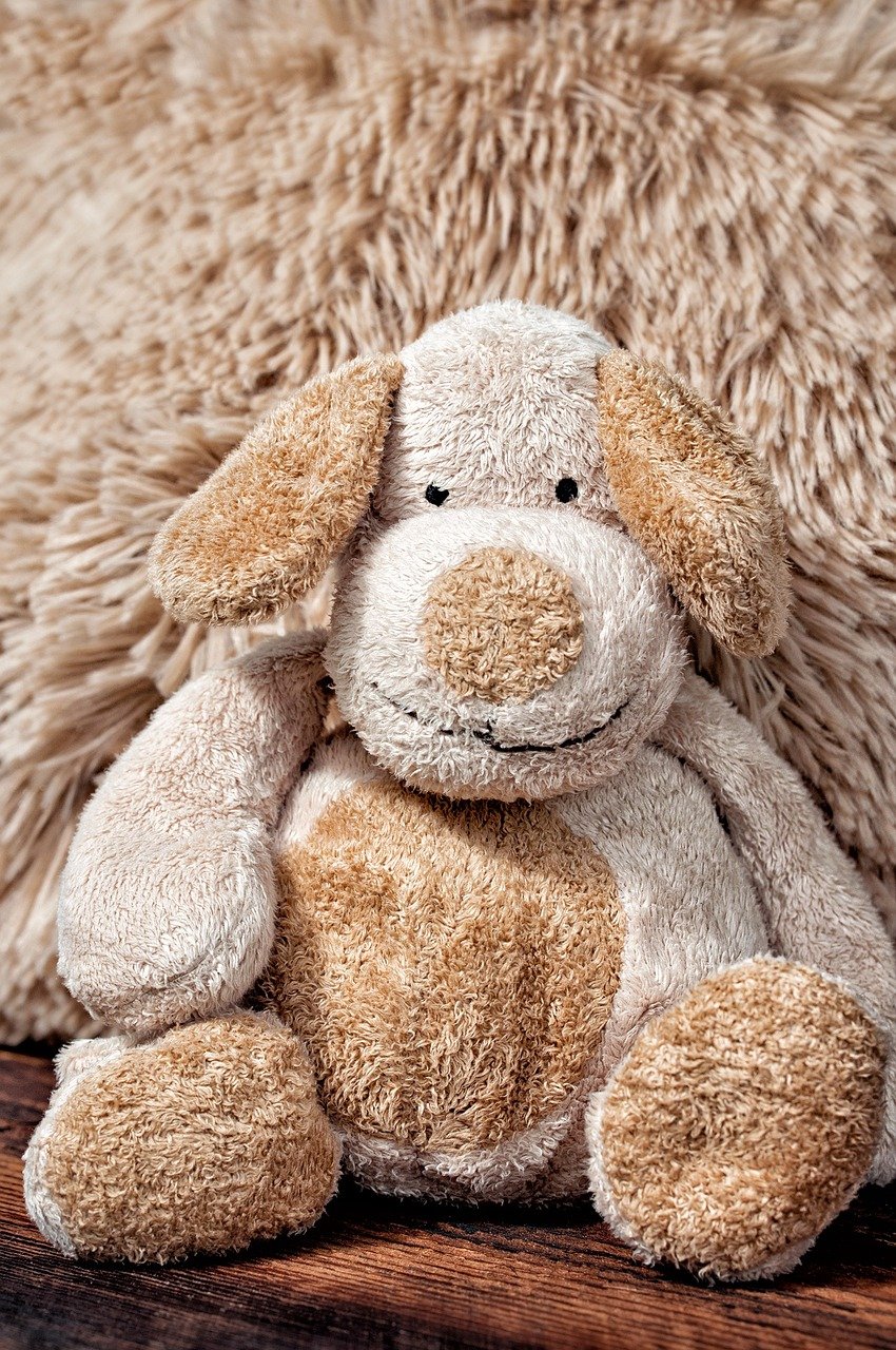 Snuggling with a Favorite Toy (image credits: pixabay)