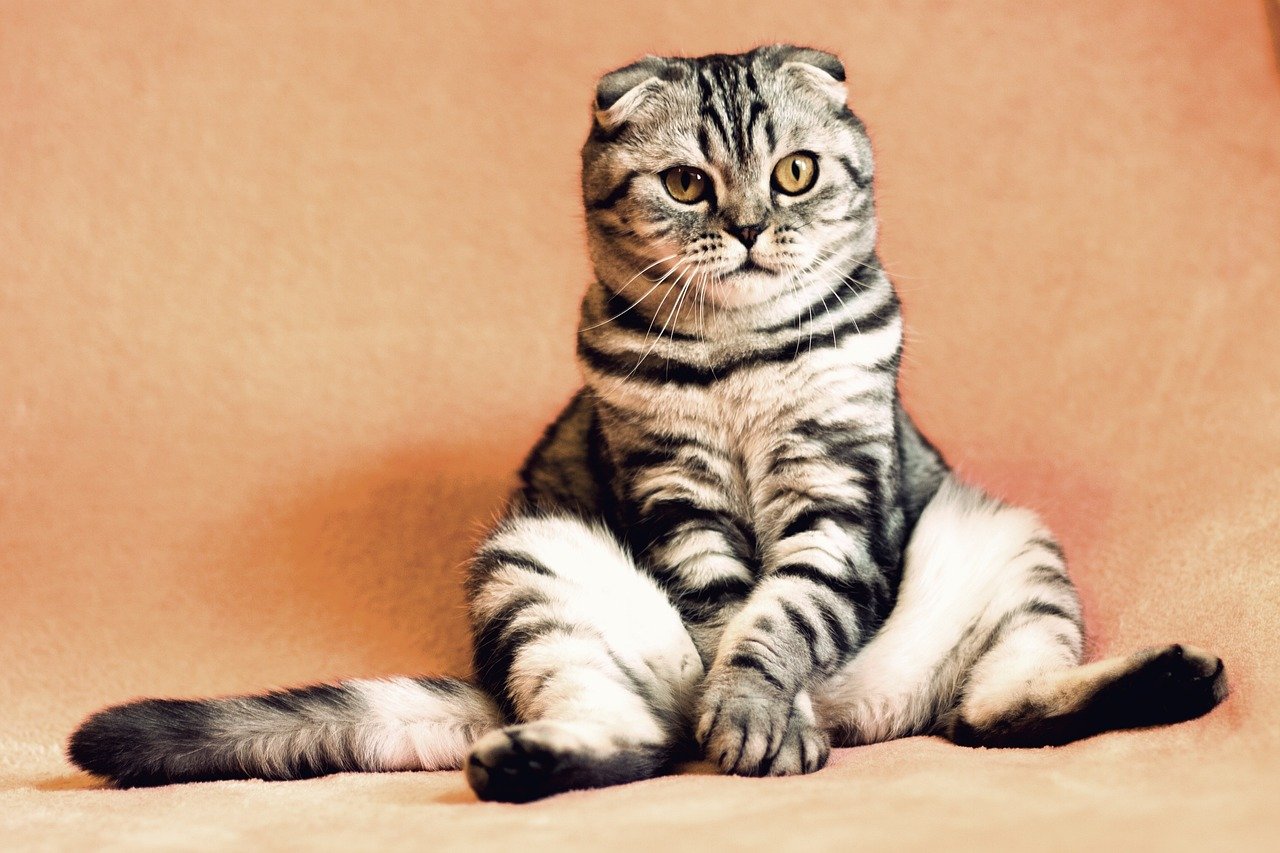 11. Sitting on Your Things (image credits: pixabay)