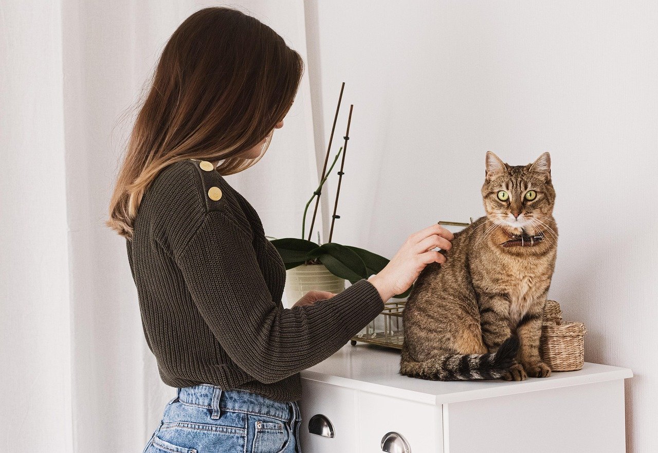Grooming You (image credits: pixabay)