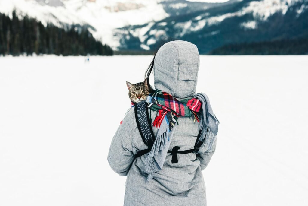 A person with a cat takes a hiking adventure in snowy Field, BC.