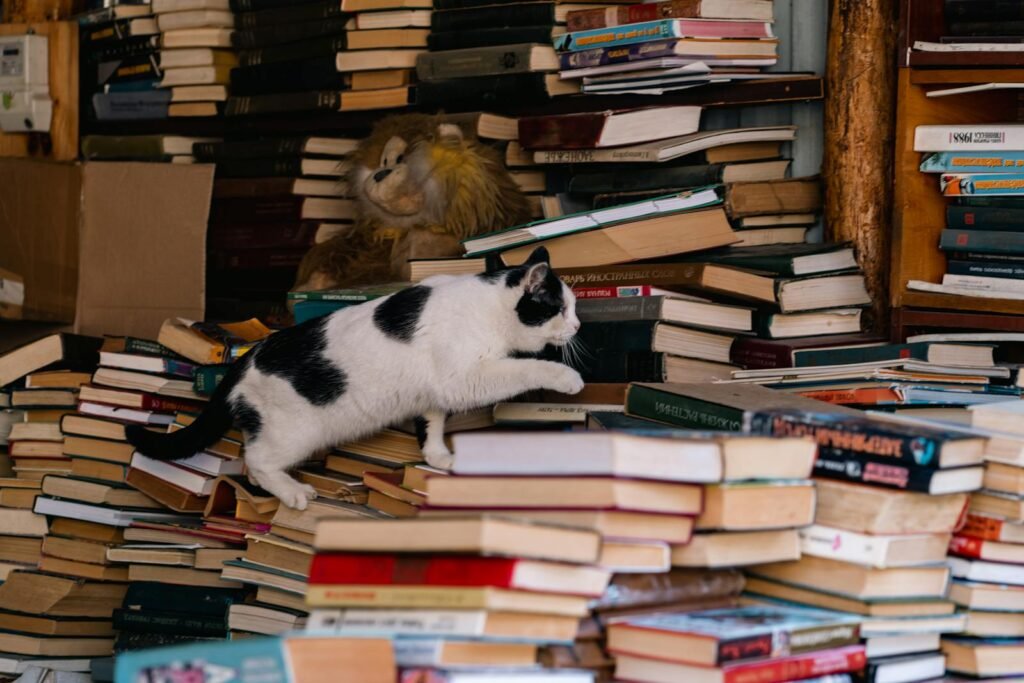 A curious black and white cat climbs stacks of books inside a cozy bookstore, conveying a sense of adventure.