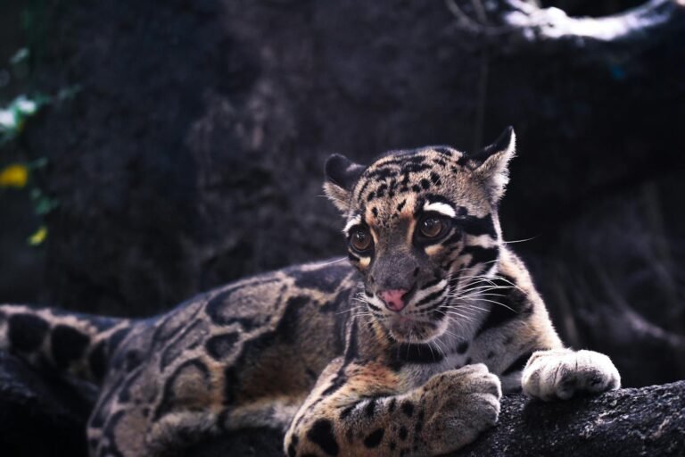 Endangered Than You Think