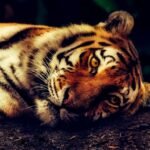 Studies That Changed