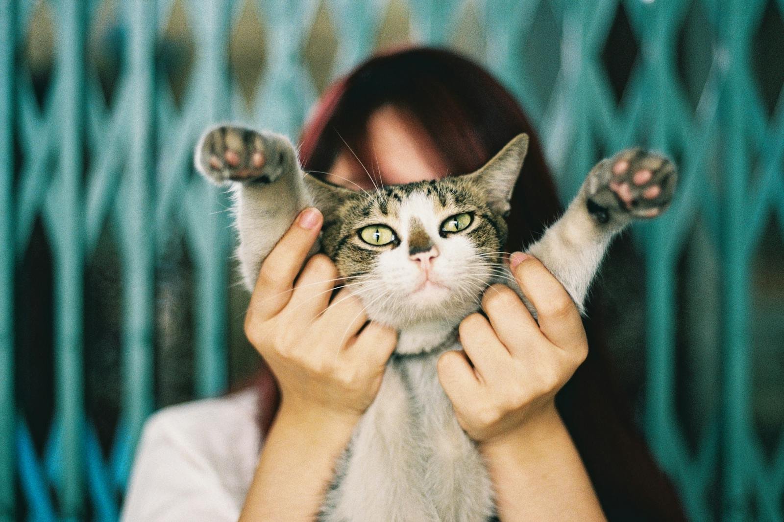 A woman playfully holds her tabby cat with paws up, creating a charming pet portrait.