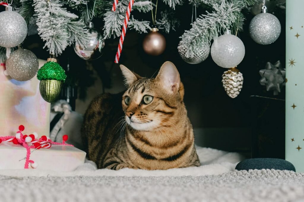 A cat relaxes under a decorated Christmas tree surrounded by ornaments and gifts.