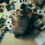 A cat lounges on a cluttered desk filled with creative tools and gadgets, Tel Aviv, Israel.