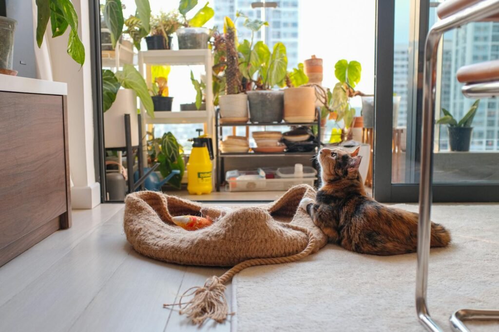 Domestic cat lounging in a cozy urban indoor garden filled with vibrant green plants.