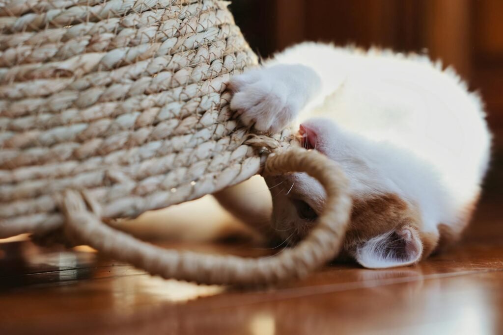 Adorable ginger kitten playfully exploring a woven basket on a wooden floor.