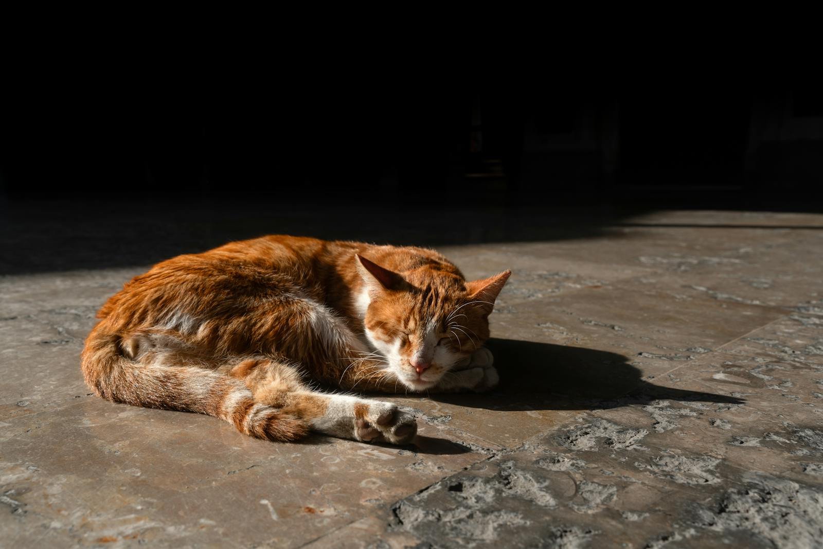 A ginger cat peacefully sleeping on a sunlit stone floor, capturing a serene moment.