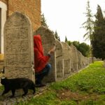 Person in red hoodie with cat in historic graveyard, peaceful and mysterious.