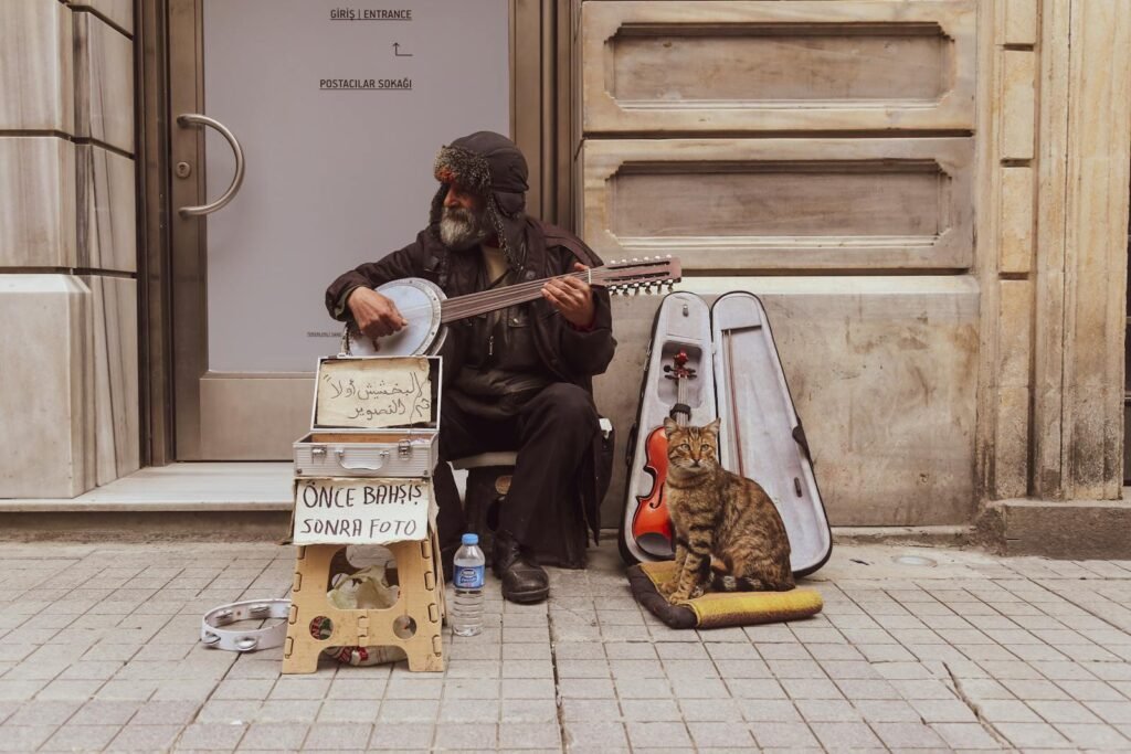 Elderly musician playing cumbus on Istanbul street with a cat beside him.