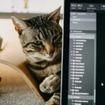 From above of adorable cat looking away while lying on table near open netbook with program and column on screen