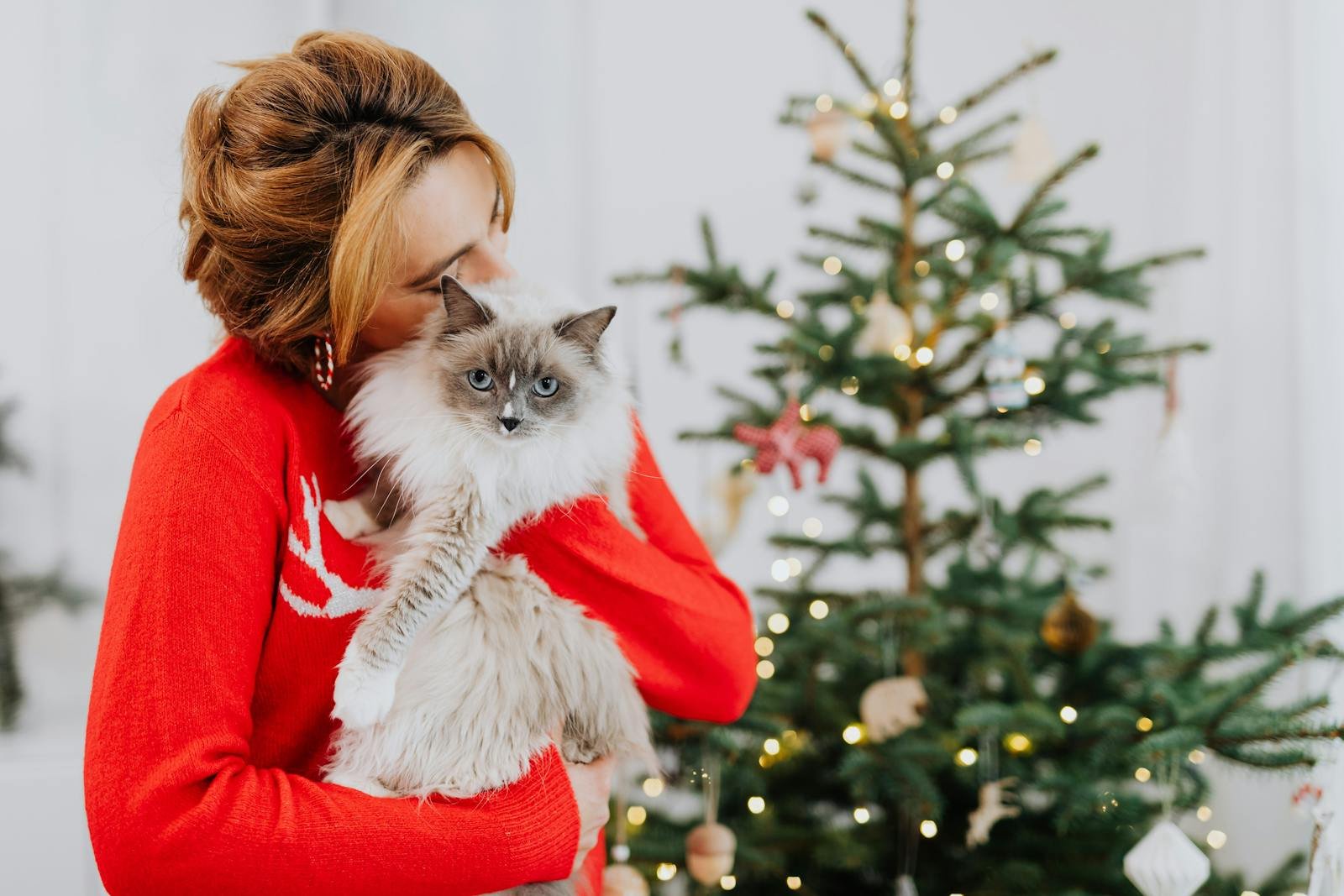A woman embraces a fluffy cat beside a decorated Christmas tree indoors.