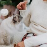A Ragdoll cat curiously observes a woman in a cozy winter setting.