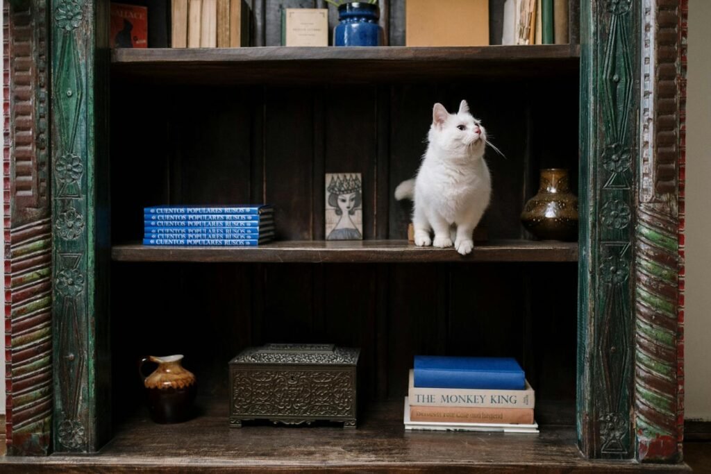 Adorable white cat curiously exploring a vintage bookshelf in a cozy home interior.