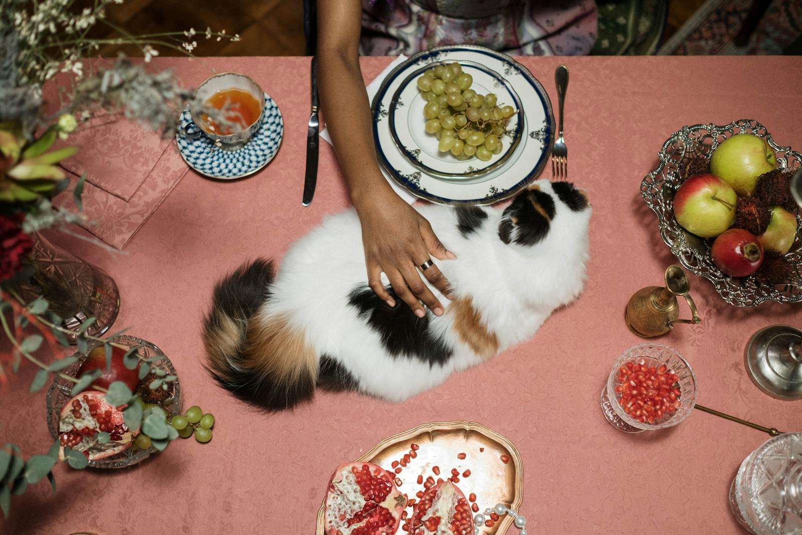 A fluffy cat is being petted on a dining table filled with fruits and elegant tableware.