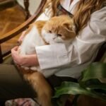 A woman gently holds a fluffy orange cat on her lap indoors, surrounded by greenery.