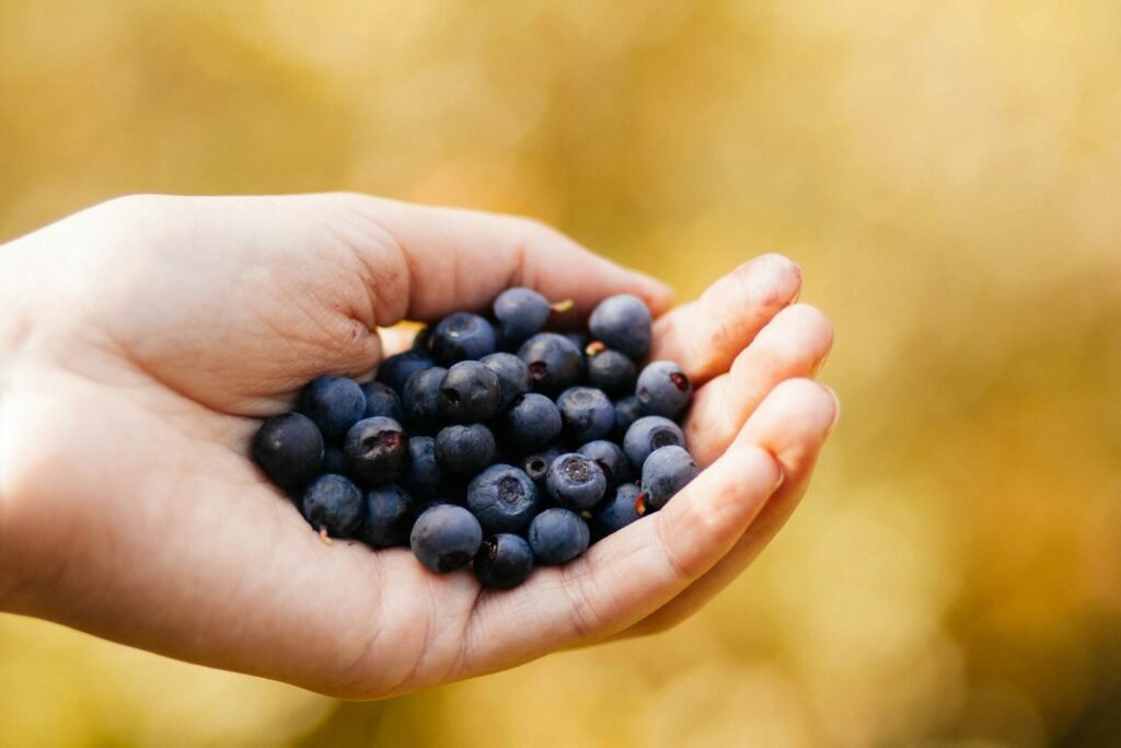 Close-up of fresh blueberries in a hand, showcasing healthy organic produce.