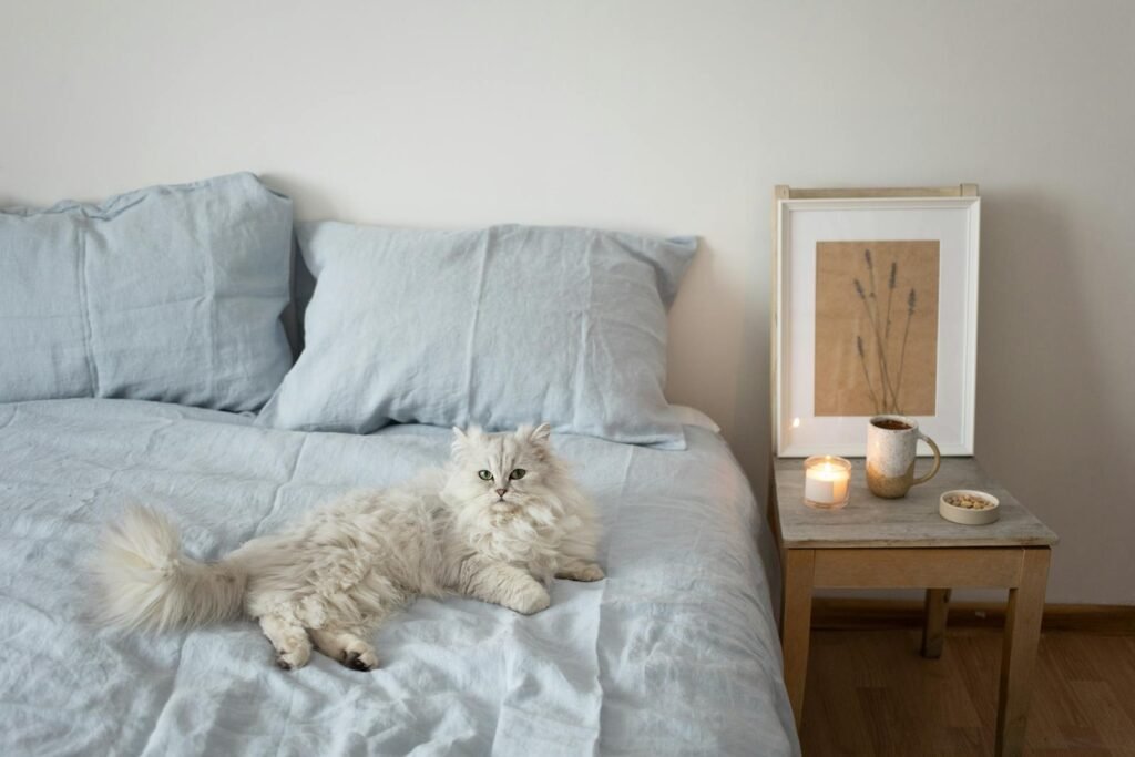 Comfortable bedroom featuring a fluffy white cat lounging on a bed next to a candlelit side table.