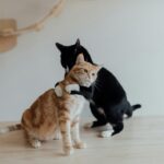 Curious and Engaged