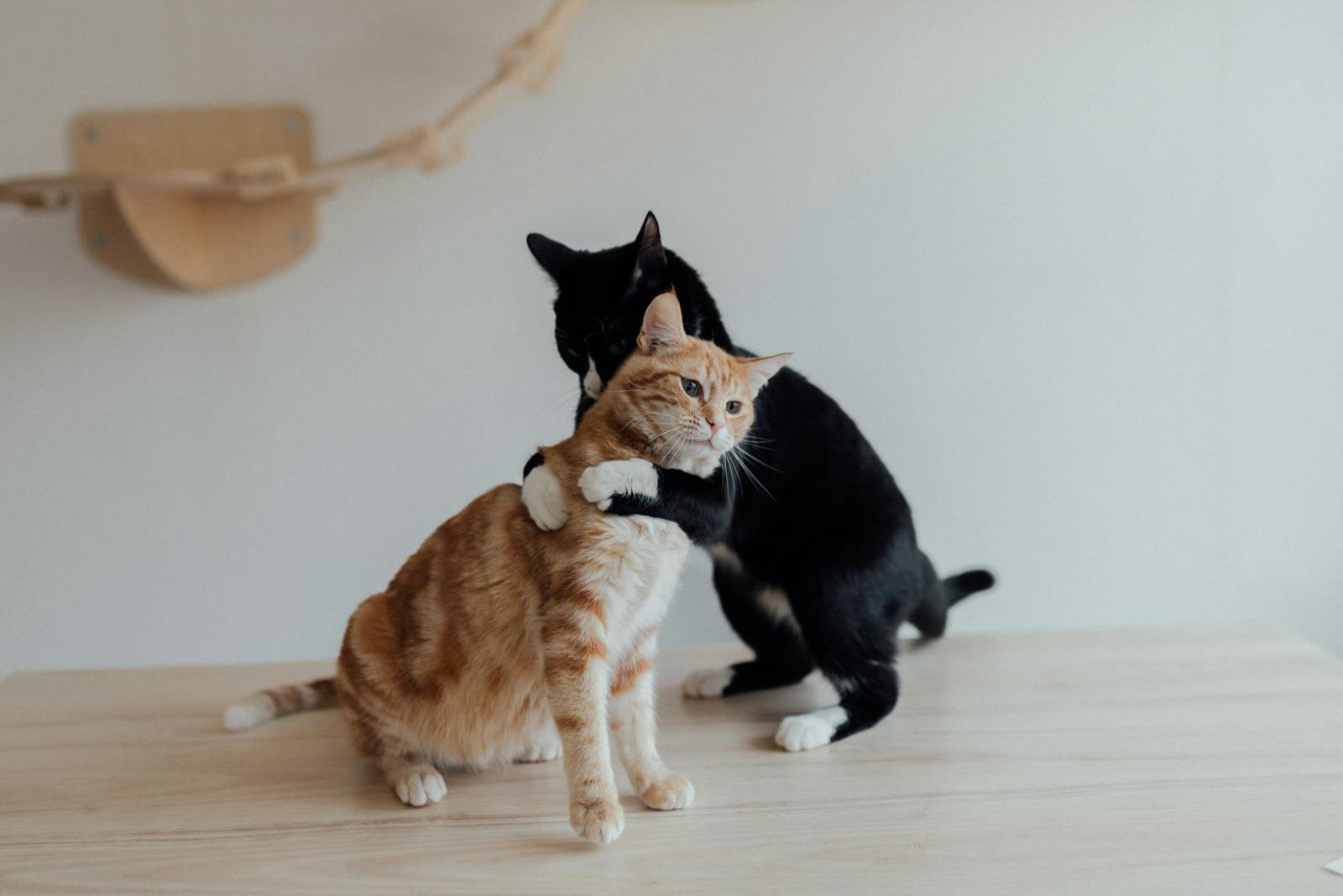 Curious and Engaged