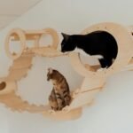 Two playful cats exploring an innovative indoor wooden climbing platform.