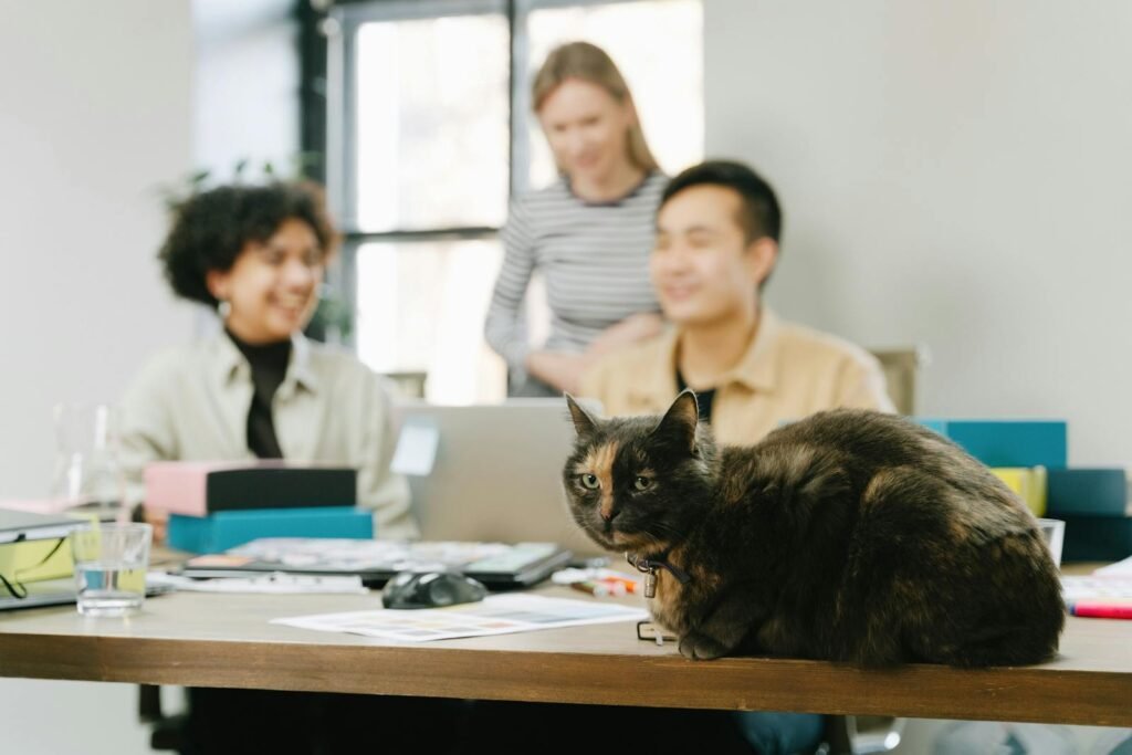 A cute cat lounging on a desk in a lively office setting with people working.
