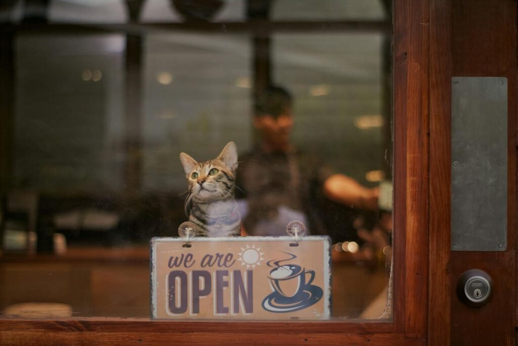 A cat sitting at a cafe window with an 'open' sign, inviting ambiance.