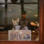 A cat sitting at a cafe window with an 'open' sign, inviting ambiance.