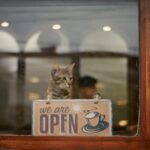 A cute tabby cat sits behind a cafe window, peering over an 'Open' sign.