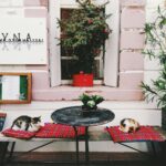 Charming sidewalk cafe with Christmas tree, festive decor, and resting cats on cushions.