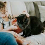 woman in blue denim jeans sitting on white sofa beside black cat