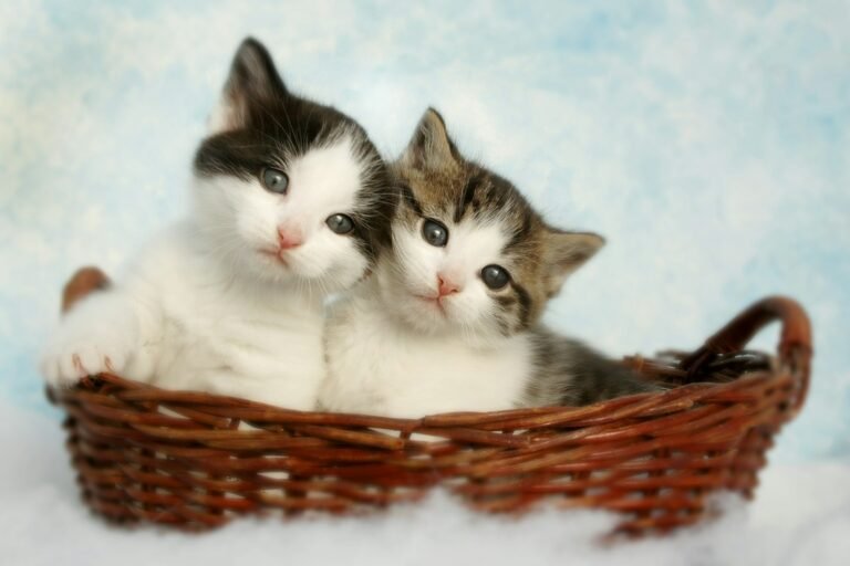 Rarely Adopted