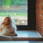 A fluffy cat lounging indoors by a window with a rustic brick wall background.