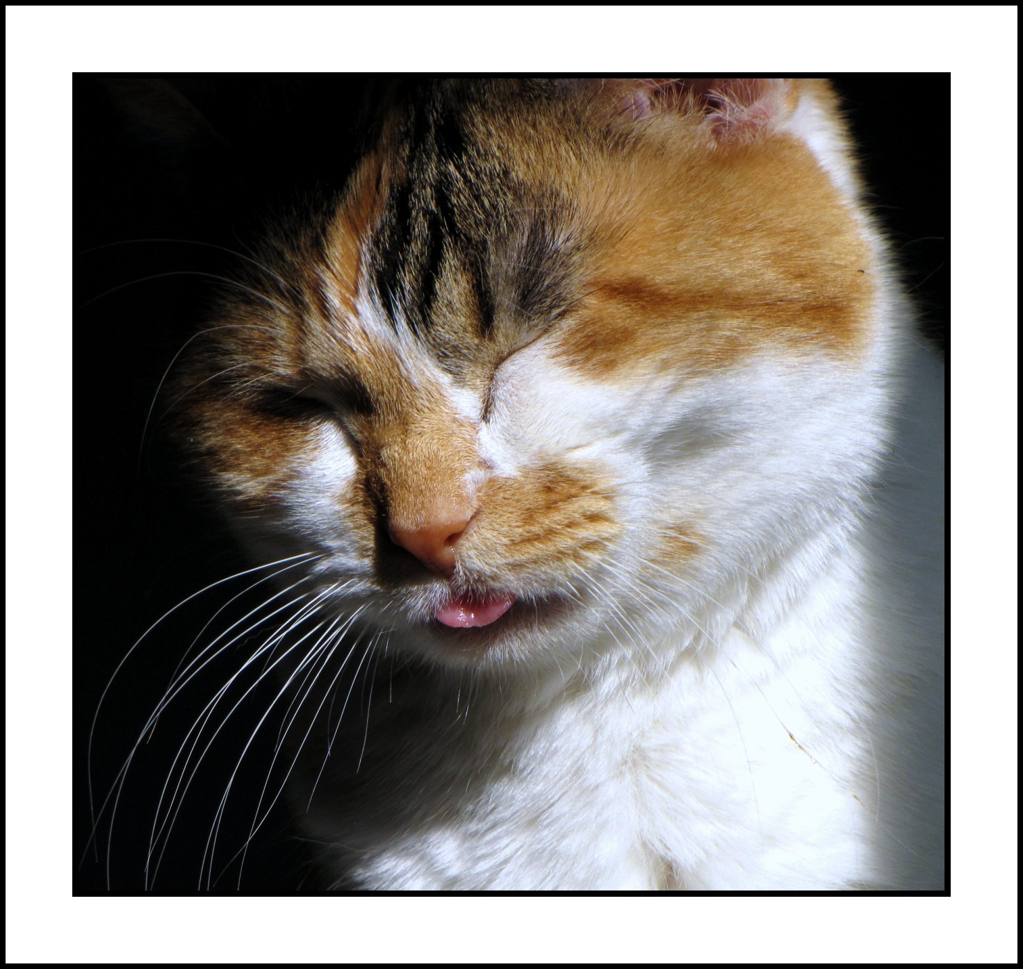 Loss of Appetite (image credits: wikimedia)