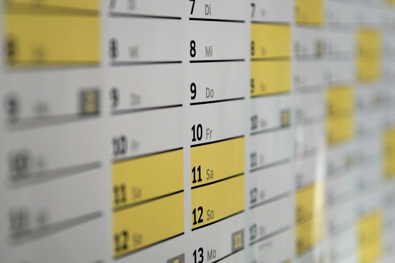 Inconsistent Feeding Times (image credits: pixabay)