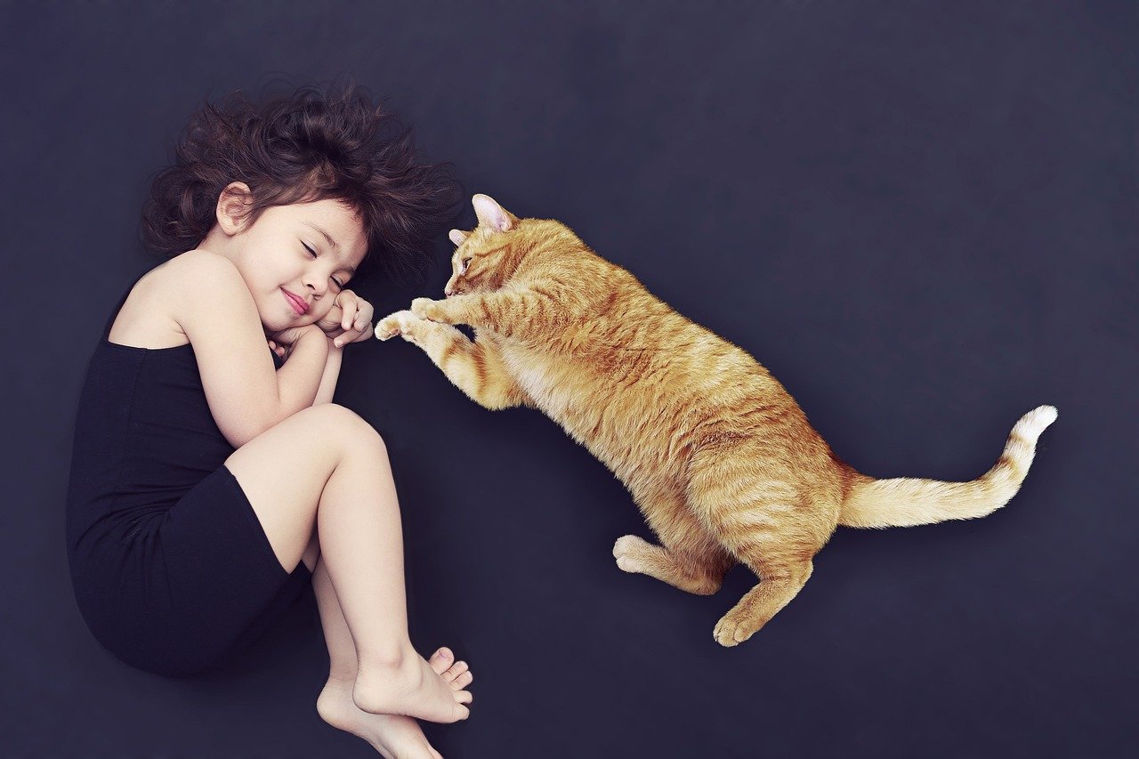 Displaying Their Belly: A Great Show of Trust (image credits: pixabay)