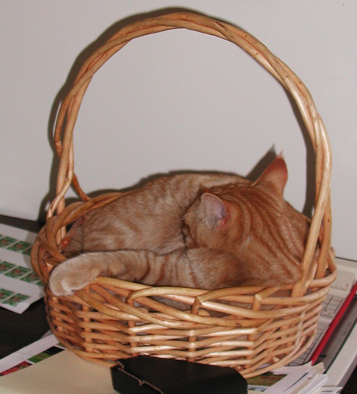 Maintain a Comfortable Temperature (image credits: wikimedia)