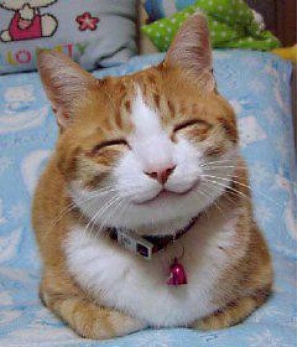 Joy and Happiness (image credits: wikimedia)